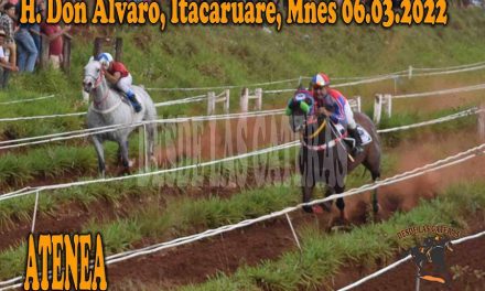 ATENEA LE CORTÓ LAS ALAS