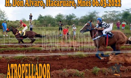 POR LA BUENA SENDA ATROPELLADOR