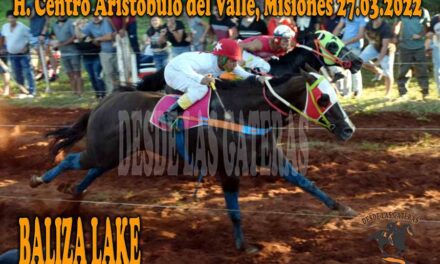 BALIZA EN UNA CARRERA PARA EL INFARTO