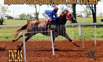 ENEAS FUE LAPIDARIO