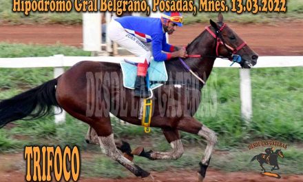 TRIFOCO ALUMBRÓ PERFECTO