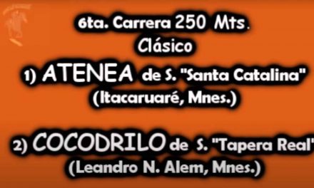 LA RECUPERACION DE COCODRILO
