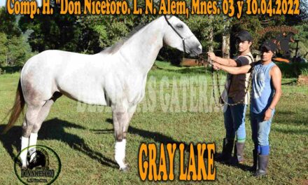 MAXI INSAURRALDE – STUD DON NICÉFORO – POLLA POTRILLOS HÍPICO DON NICÉFORO – 03 y 10. 04 . 2022
