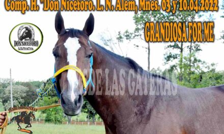 JOSE LUIS AGUIRRE -STUD y HARAS SIRI – POLLA POTRILLOS HÍPICO DON NICÉFORO – 03 y 10. 04 . 2022