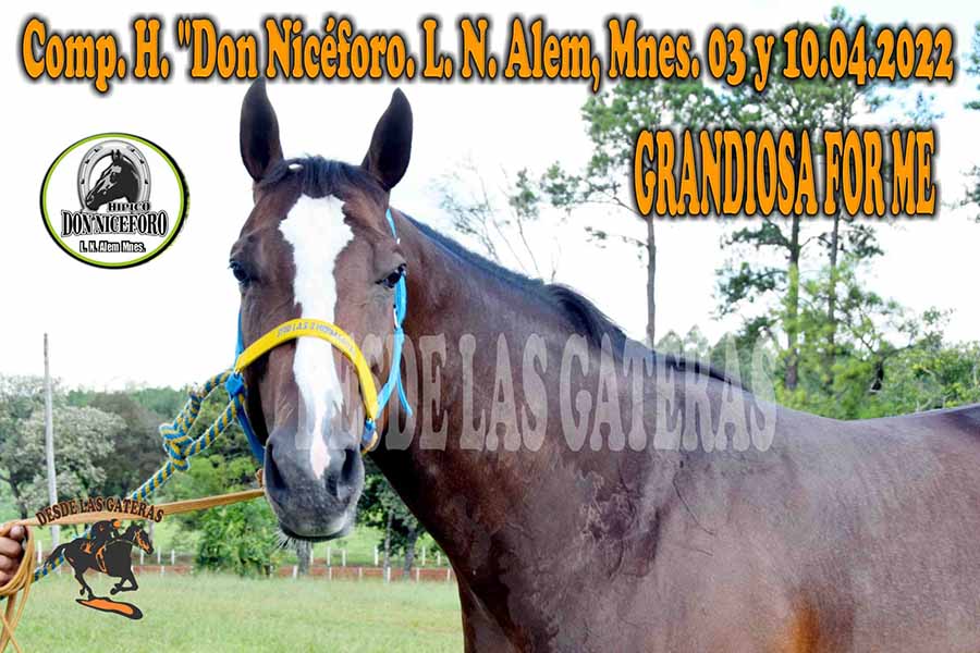 Polla de potrillos C. H. DON NICÉFORO L. N Alem, Mnes. Abril 2022