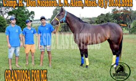 MARIANO ANDERSON – POLLA POTRILLOS HÍPICO DON NICÉFORO – 03 y 10. 04 . 2022