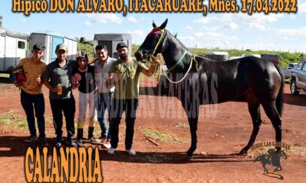 CALANDRIA – DON ALVARO – 17-4-22