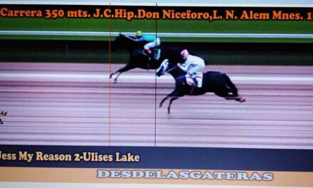 FOTOCHARTS DON NICEFORO 10-4-22