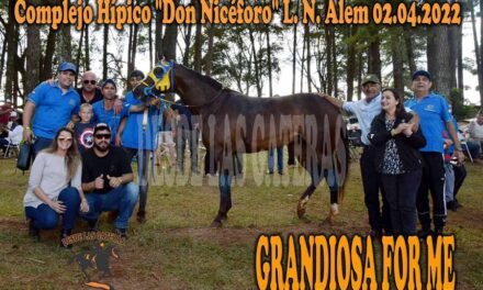 GRANDIOSA FOR ME – DON NICÉFORO L. N ALEM 2-4-22