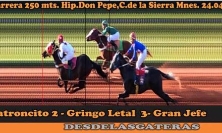 TODOS LOS FOTOCHART DEL HPIPICO DON PEPE 22-4-22