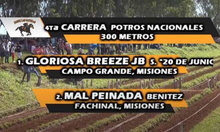 UN DEBUT GLORIOSO DE GLORIOSA BREEZE JB.