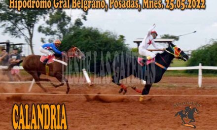 LA CONTUNDENCIA DE CALANDRIA