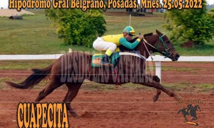 CUAPECITA LO VOLVIÓ A HACER