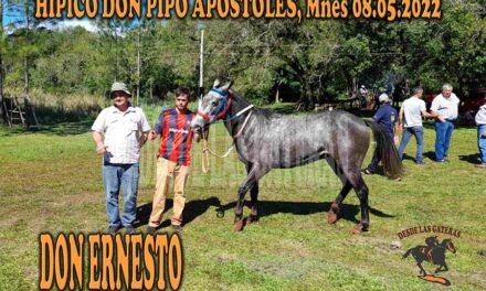 DON ERNESTO – HIPICO DON PIPO – 8-5-22