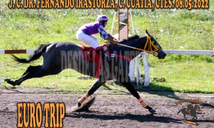 EURO TRIP COTIZÓ EN ALZA