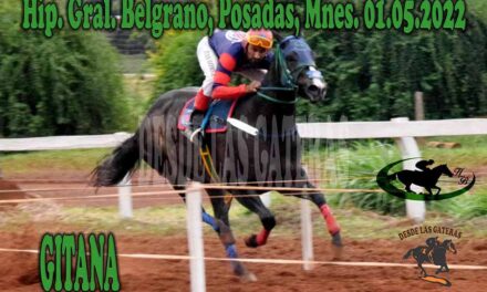 LOS ENCANTOS DE UNA GITANA