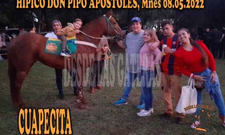 CUAPECITA ARRIBA DE UNA CUPE DE LUJO