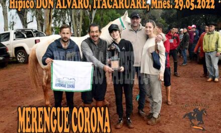MERENGUE CORONA – DON ALVARO – 29-5-22