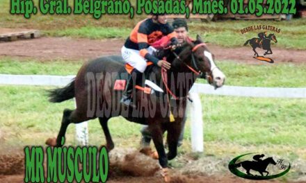 MR MÚSCULO NO DEJÓ NADA LIBRADO AL AZAR