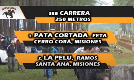 UNA PATA CORTADA QUE HIZO PATA ANCHA.