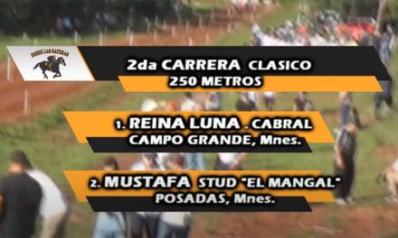 REINÓ REINA LUNA