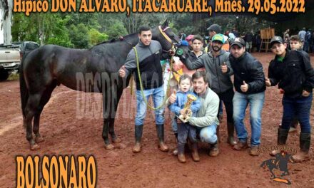 BOLSONARO – DON ALVARO – 29-5-22