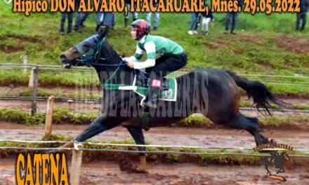 CATENA SE TOMÓ REVANCHA