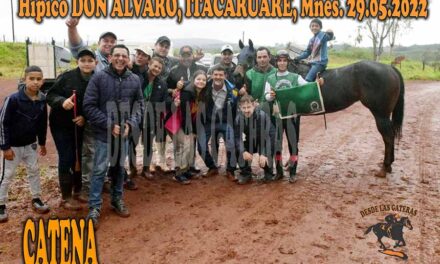 CATENA – DON ALVARO – 29-5-22