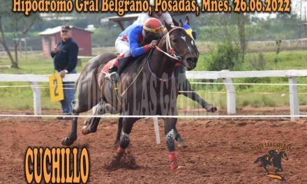 UN CUCHILLO BIEN AFILADO