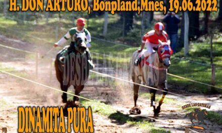 ACTIVO LA POLVORA DINAMITA PURA