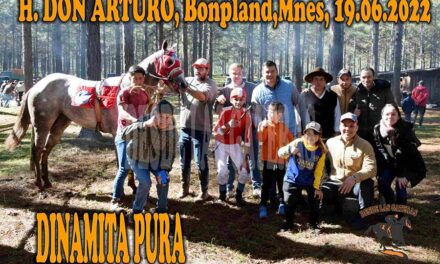 DINAMITA PURA – DON ARTURO – 19-6-22
