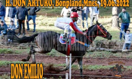 EL BUEN MOMENTO DE DON EMILIO