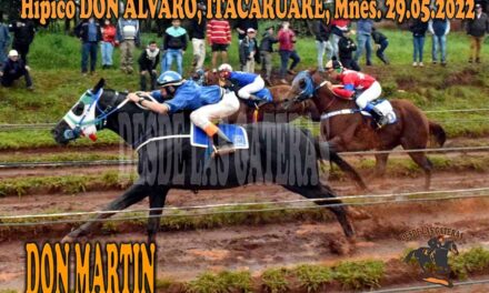 DON MARTÍN VOLVIÓ POR SUS FUEROS