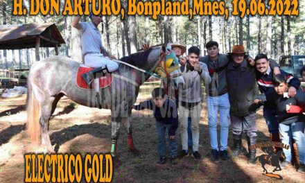 ELECTRIC GOLD – DON ARTURO – 19-6-22