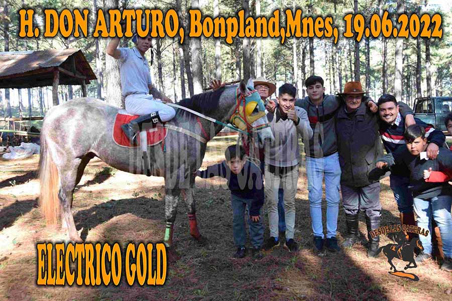 ELECTRIC GOLD – DON ARTURO – 19-6-22