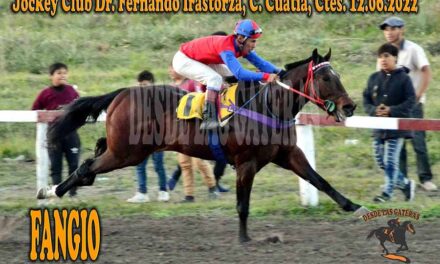 FANGIO ACELERÓ Y LOS PERDIO