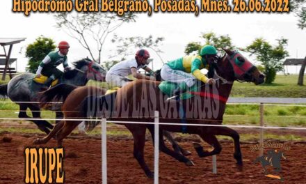 IRUPÉ FLORECIÓ EN EL BELGRANO