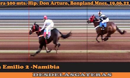 Fotocharts Don Arturo – 19-6-22