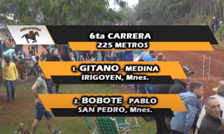 UN BOBOTE MUY ACTIVO