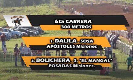 BOLICHERA SIN PROBLEMAS
