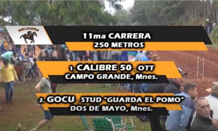 CON LA MIRA BIEN CALIBRADA CALIBRE 50