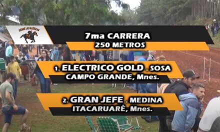 ELECTRICO GOLD FUE LETAL
