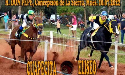 QUEDARON A MANO