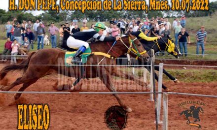 CUAPECITA – ELISEO – UN LAZO PARA CADA UNO PARA QUEDAR A MANO