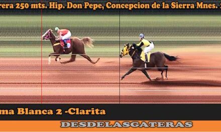 FOTOCHARTS DON PEPE – 10-7-22