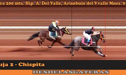 FOTOCHARTS HIPICO CENTRO 3-7-22