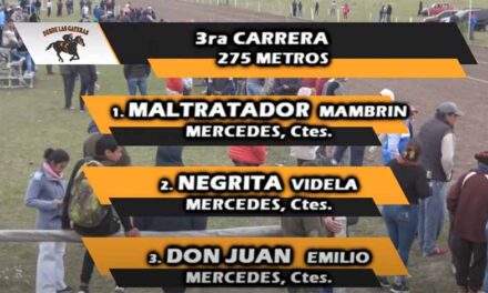 MALTRATADOR AL FINAL