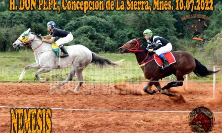 NEMESIS LO DIO VUELTA