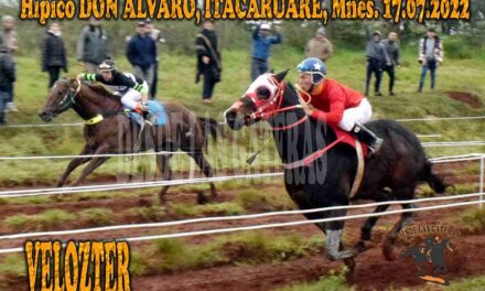 LA AUTORIDAD DE VELOZTER