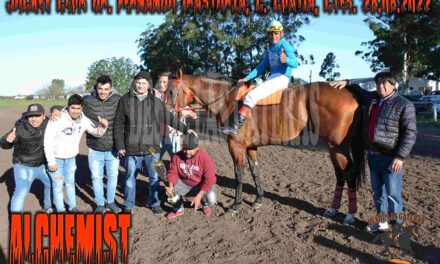 ALCHEMIST – FERNANDO IRASTORZA – 28-8-22